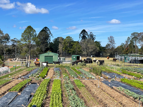 More Than Food: Training Queensland's Disengaged Young People