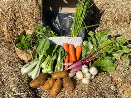 The Mini Farm Project – minifarmproject