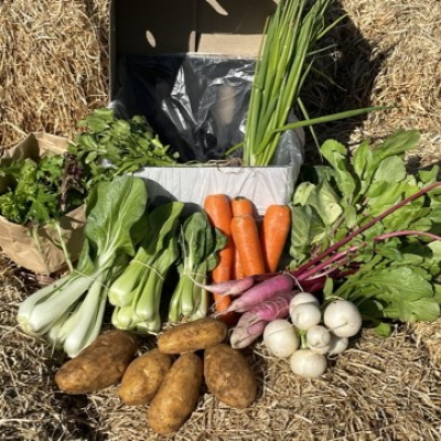 BOX - Mini Farm Box - Organic Fruit, Veges & Herbs - 6 items