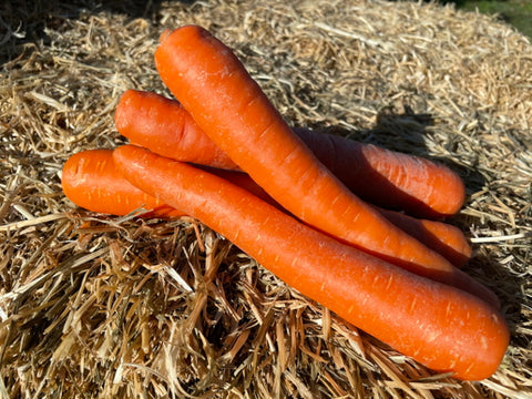 MYO - Carrots - 500g - Organic
