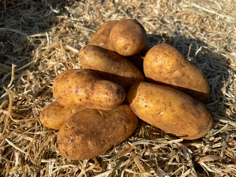 MYO - Potatoes - 1kg - Organic